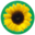 :girassol: